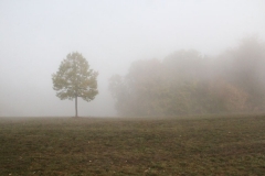 Leider vernebelter Blick ins Donautal