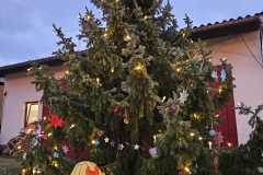 IMG-20231224-WA0011